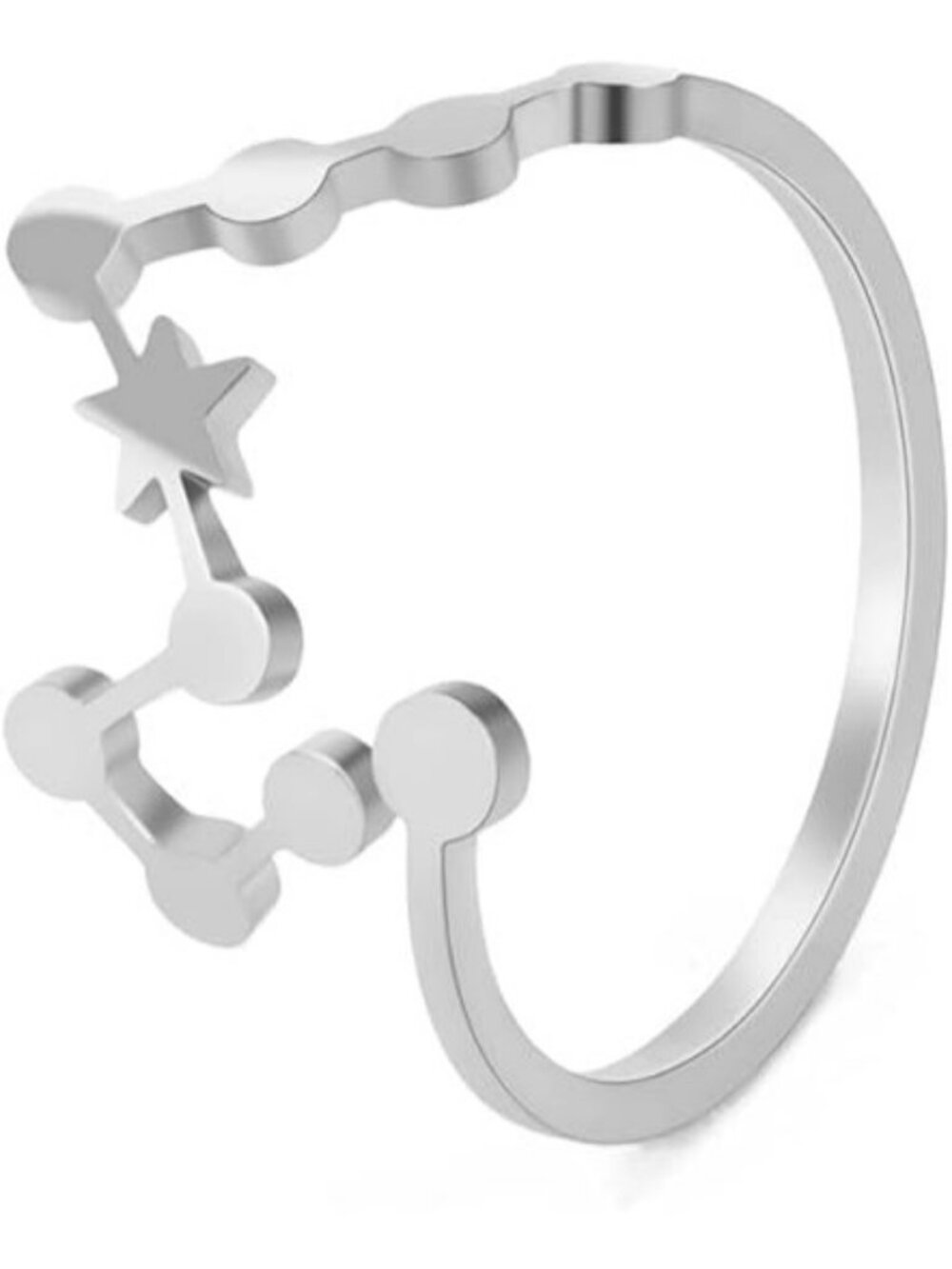 Pisces Silver Adjustable Zodiac Sign Constellation Stainless Steel Ring